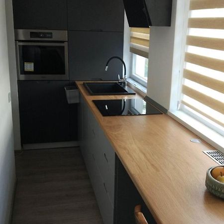 Popasu Din Oras Apartment Бая Маре Екстериор снимка