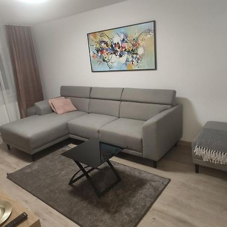 Popasu Din Oras Apartment Бая Маре Екстериор снимка