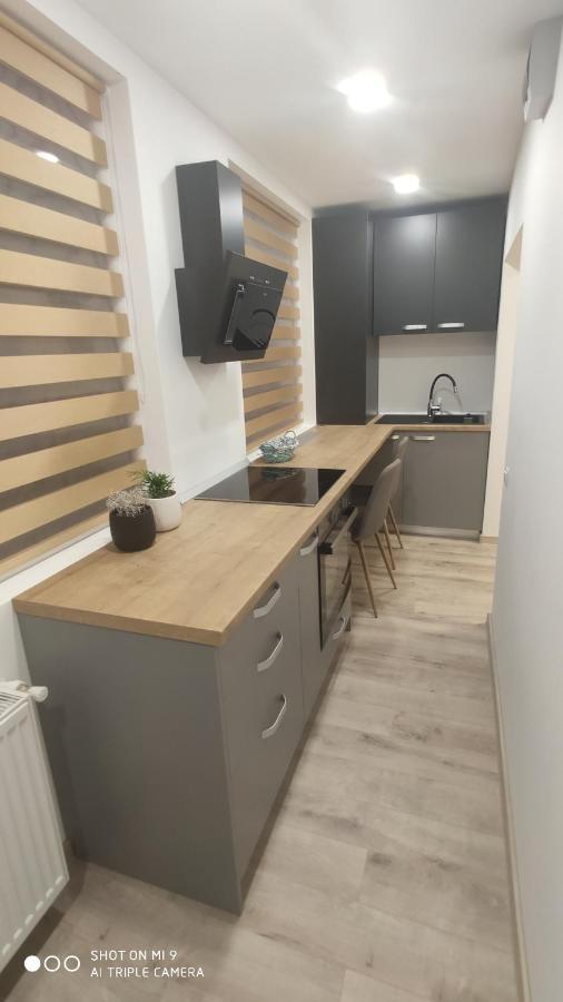 Popasu Din Oras Apartment Бая Маре Екстериор снимка