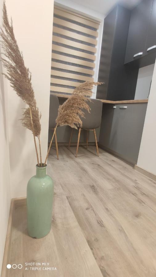 Popasu Din Oras Apartment Бая Маре Екстериор снимка