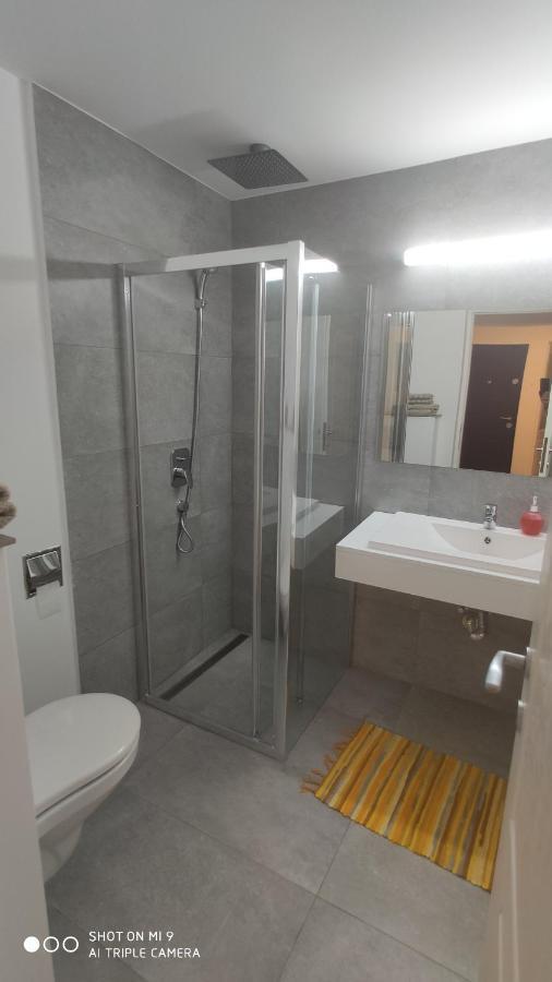 Popasu Din Oras Apartment Бая Маре Екстериор снимка
