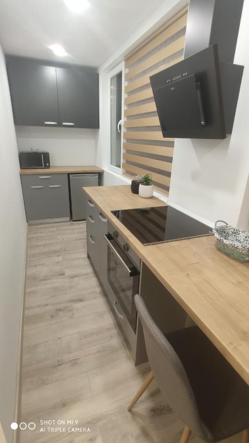 Popasu Din Oras Apartment Бая Маре Екстериор снимка